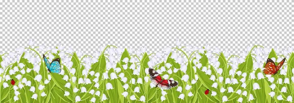 谷の春の花ユリとのシームレスな境界線 花のフレーム ベクトルイラスト 白い芽ブルーベル 緑の葉に蝶とテントウムシが透明な背景に隔離されています — ストック写真