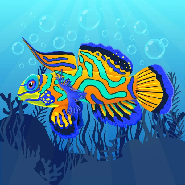 Mandarin Fish Bottom Sea Algae Flat Realistic Drawing Cute Painted — Stock Photo, Image