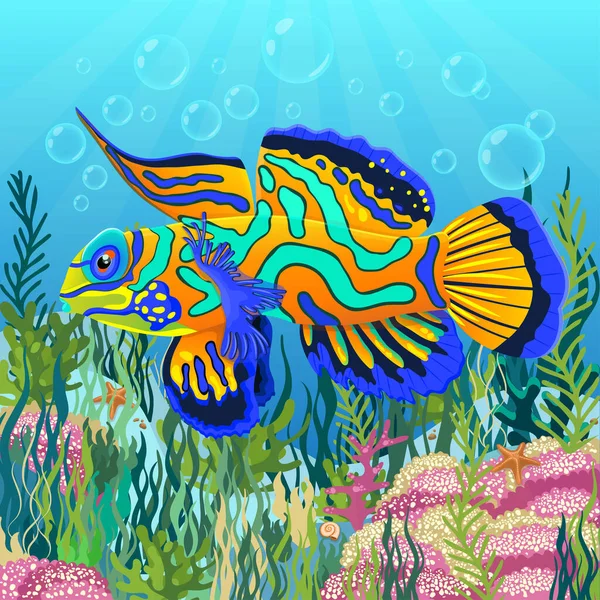 海底华人鱼在海底画了五彩斑斓的海藻 水下世界背景 明亮的多色蓝橙色热带鱼漂浮在明亮的海底 矢量说明 — 图库照片