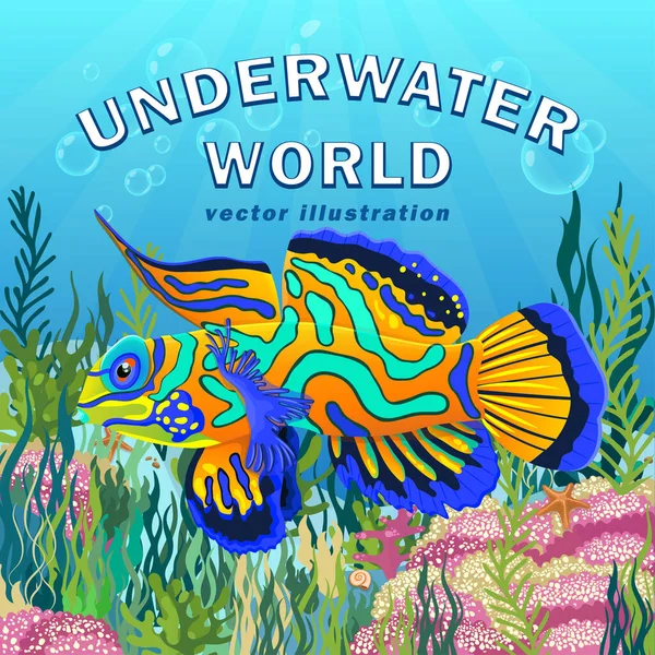 海底华人鱼在海底画了五彩斑斓的海藻 水下世界背景 明亮的多色蓝橙色热带鱼漂浮在明亮的海底 矢量说明 — 图库照片