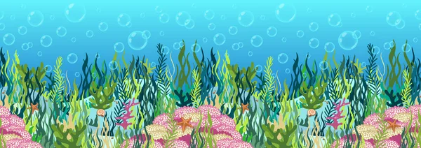 Fundo Mundo Subaquático Fundo Marinho Com Algas Marinhas Recifes Coral — Fotografia de Stock