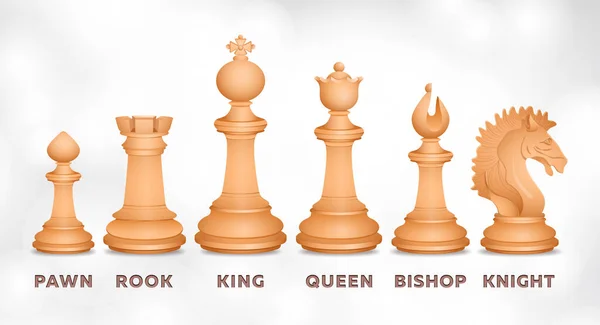 Chessmen, chess set, realistic drawing. Figurines for intellectual game, piece pawn, king, queen, bishop, knight, rook, with signed figure names isolated on textural background. Vector illustration