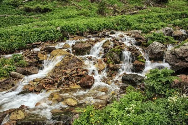 The mountain stream flows among the stones and plants in the summer morning.