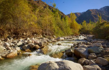 Büyük Almatı gorge, Trans-Ili Alatau Dağları renkli ormanda.