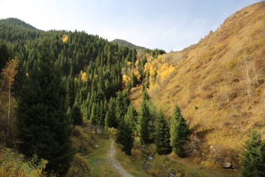 Sonbahar ayı Gorge, dağlara Zailiysky Alatau, Kazakistan.