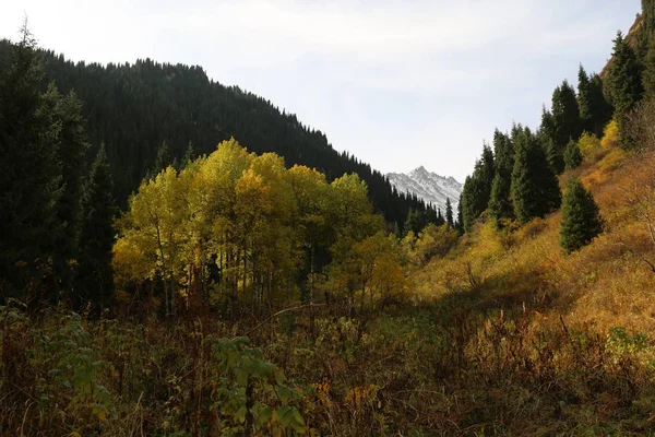 Podzim Rokli Bear Hory Zailiysky Alatau Kazachstán — Stock fotografie