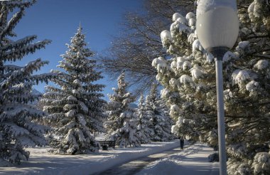 Parkta ilk başkanı Kazakistan Almatı'nın taze kar.