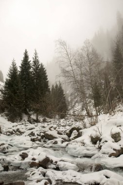 Kış sabahı vadide dağ ormanda görünümünü.