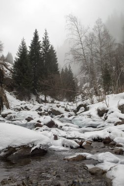 Kış sabahı vadide dağ ormanda görünümünü.