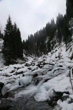 Kış sabahı vadide dağ ormanda görünümünü.