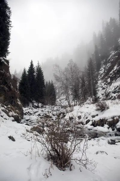 Kış sabahı vadide dağ ormanda görünümünü.