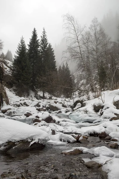 Kış sabahı vadide dağ ormanda görünümünü.