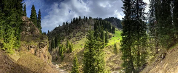 Paisagem Floresta Montanha Com Nuvens Primavera — Fotografia de Stock