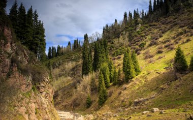 Bahar bulutlar dağ orman manzara.