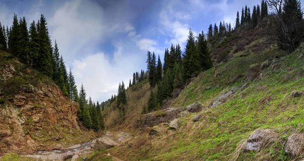 Krajina Horského Lesa Mraky Jaře — Stock fotografie