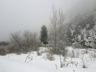 Büyük Almatı gorge Trans-Ili Alatau Dağı nın kışın.