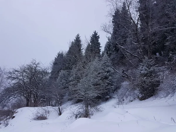 Paysage Matinal Dans Une Gorge Montagne Hiver — Photo