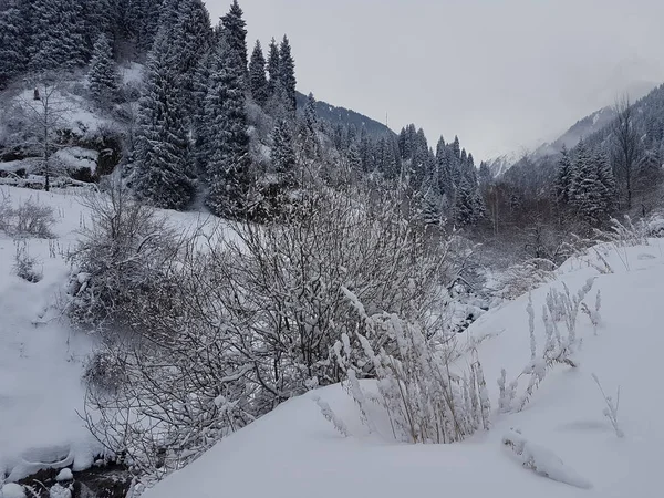 Paisagem Inverno Floresta Montesa Com Neve Fresca — Fotografia de Stock