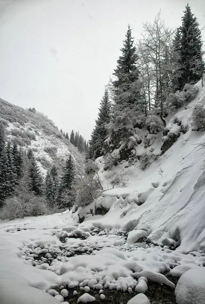Paysage Hivernal Avec Neige Fraîche Dans Une Forêt Montagne — Photo