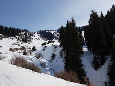 Dağ orman kar kış sonunda ile peyzaj.