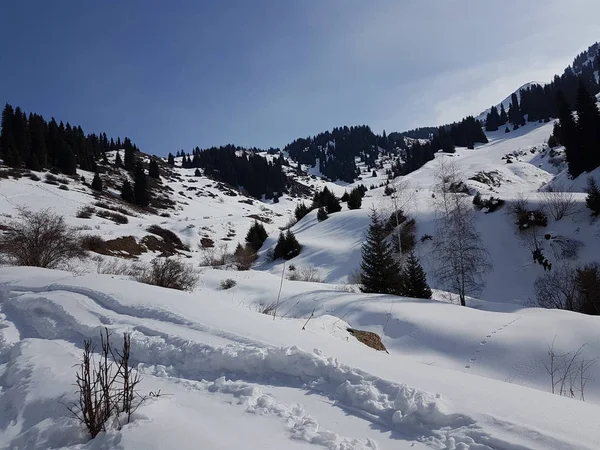 Paisagem Floresta Montanha Com Neve Final Inverno — Fotografia de Stock