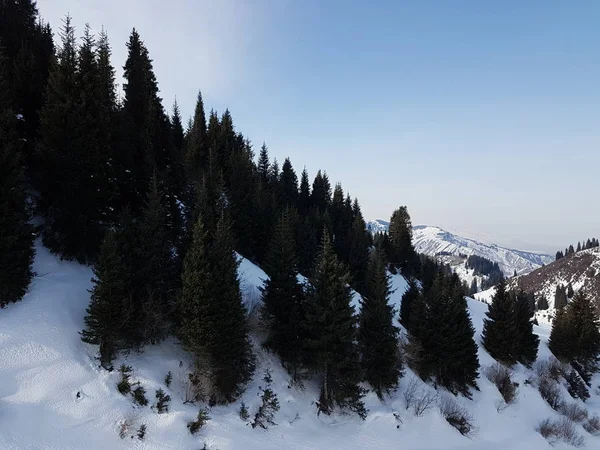 Paisagem Floresta Montanha Com Neve Final Inverno — Fotografia de Stock