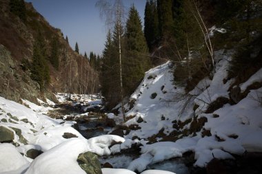 Bahar manzara Trans-Ili Alatau, Kazakistan Cumhuriyeti dağlarında.