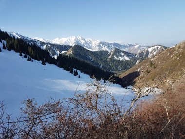 Dağ ormanında bahar manzarası, Zailiyskiy Alatau, Kazakistan Cumhuriyeti.