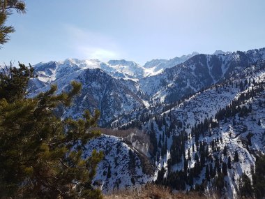 Bahar manzara dağ orman.