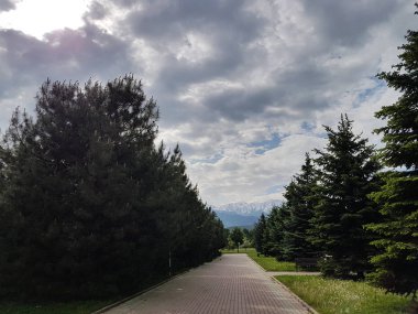 Bulutlar ve yeşil ağaçlar ile Yaz manzara.