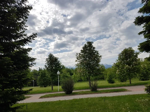 Sommerlandschaft Mit Wolken Und Grünen Bäumen — Stockfoto