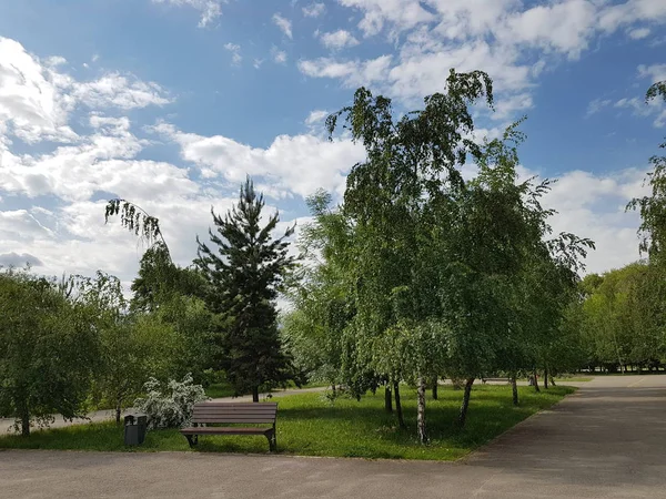 Sommerlandschaft Mit Wolken Und Grünen Bäumen — Stockfoto