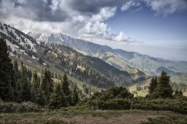 Yaz aylarında bir dağ ormanı üzerinde bulutlar ile Sabah manzara.