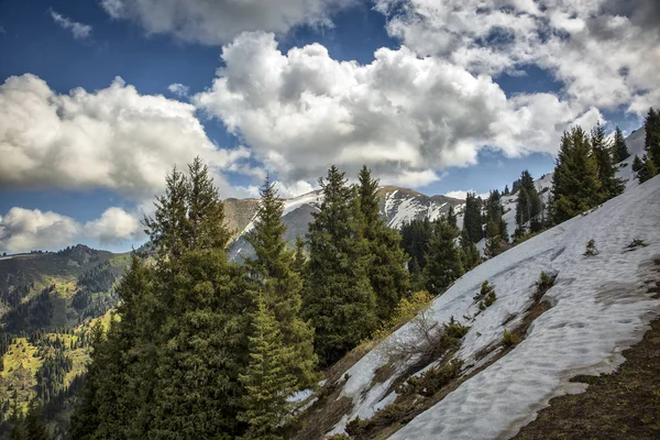 山の雪の頂上に雲 — ストック写真