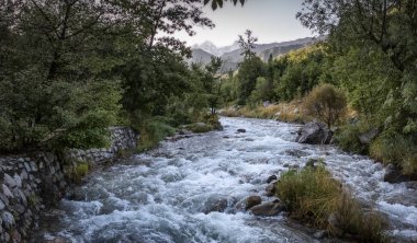 Yaz sabahı bir dağ ormanında manzara..