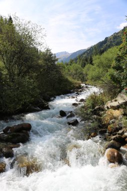 Bir dağ ormanında bir nehir ile Yaz manzara.