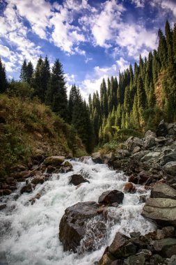 Bir dağ ormanında bir nehir ile Yaz manzara.