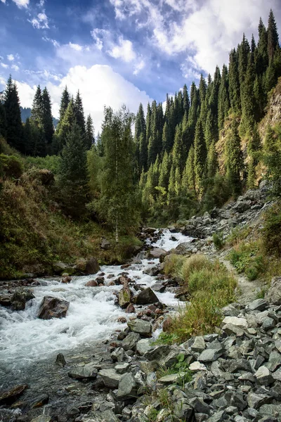 Bir dağ ormanında bir nehir ile Yaz manzara.
