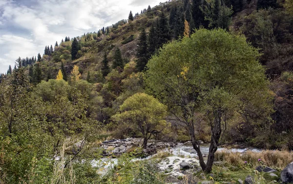 Landschap Een Berg Woud Een Herfst Ochtend — Stockfoto