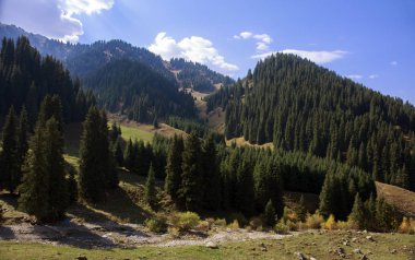 Bir dağ orman sonbahar manzara.