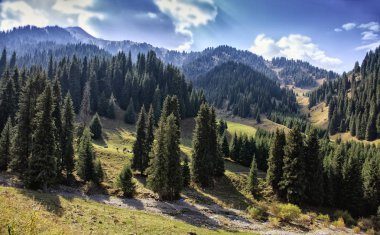 Bir dağ orman sonbahar manzara.