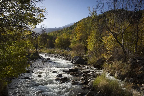 Herfst Landschap Met Een Rivier Een Bergbos Herfst — Stockfoto