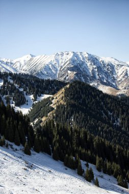 Bir dağ orman sonbahar manzara.