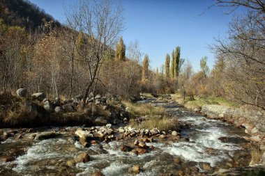 Bir dağ orman sonbahar manzara.