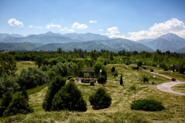 Yazın bir şehir parkında yeşil bitkiler ve ağaçlar.