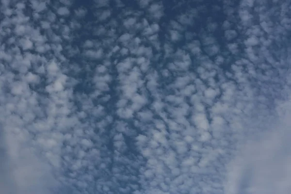 Arkaplan Doku Beyaz Sirrus Bulutları Mavi Gökyüzünün Arka Planında — Stok fotoğraf