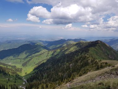 Yazın sıcacık bir dağ ormanında yeşil ağaçlarla kaplı bir manzara..
