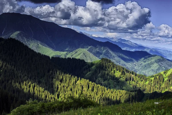 夏は山の上に雲が立ち並ぶ風景 — ストック写真