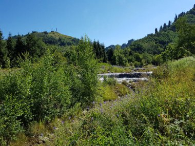 Bir yaz gününde dağ ormanlarıyla manzara.