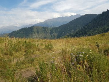 Bir yaz günü dağlarda manzara..